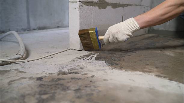 SJ Waterproofing Pros Emergency Waterproofing coverage map for Freeport, IL and surrounding area